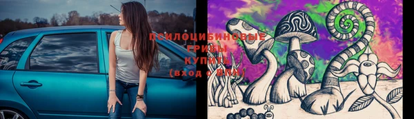 ALPHA PVP Нефтекумск