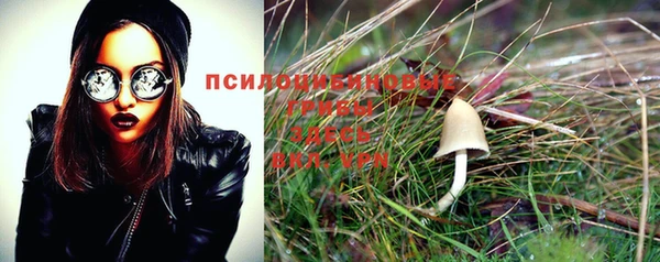 ECSTASY Нефтегорск