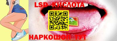 прущие грибы Будённовск