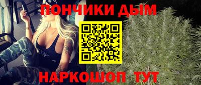 прущие грибы Будённовск