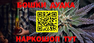 прущие грибы Будённовск