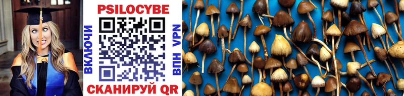 Галлюциногенные грибы Psilocybe  цены   Карпинск 