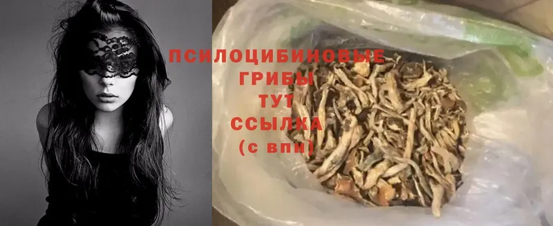 купить наркотики цена  Карпинск  Галлюциногенные грибы Psilocybe 