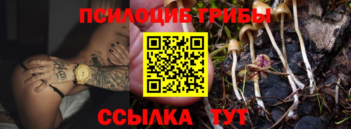 Карпинск  Псилоцибиновые грибы GOLDEN TEACHER  Вход с VPN 